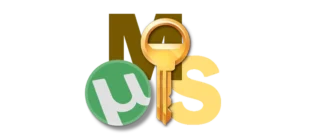 Инструмент для активации операционной системы Windows 10