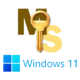 Инструмент активации для операционной системы Windows 11